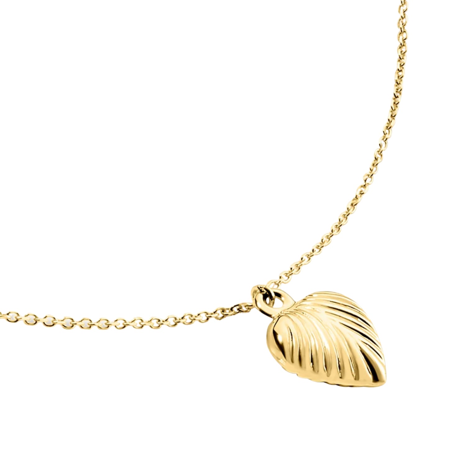 Stroili Beverly 1436961